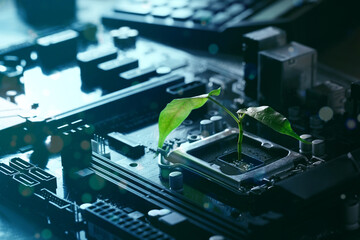 Trees are growing on circuit board technology innovations. Digital Convergence and Technology Convergence.Green Computing, Green Technology, Green IT, CSR, and IT ethics Concept. - obrazy, fototapety, plakaty