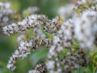Bayern und Natur