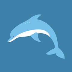 Dolphin, marine mammal - cartoon, vector, illustration