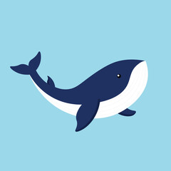 blue whale, sea animal, mammal