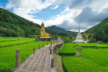 Fototapeta na wymiar Buddha statue and white pagoda locate at the plantation of paddy field in village, pathway to make merit by bamboo bridge