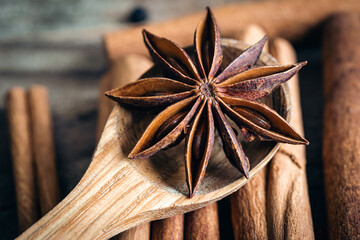 Star anise on a wooden spoon on a blurred background of cinnamon sticks.