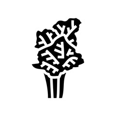 fishtail palm tree glyph icon vector. fishtail palm tree sign. isolated symbol illustration