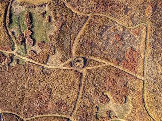 드론 항공촬영한 갈대밭