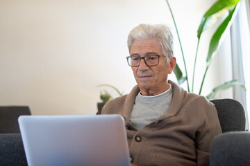 Focused aged businessman using laptop. Gray-haired man in cardigan and eyeglasses sitting with portable computer at home. Freelancer concept