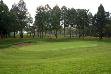 Fototapeta premium beautiful green grass golf course