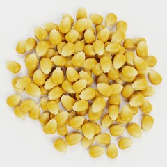 Realistic 3D Render of Corn Seeds