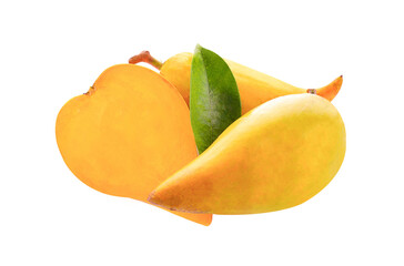 pouteria campechiana (kunth) baehni on transparent png