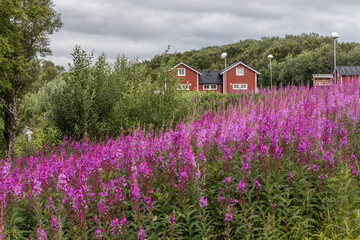 houses in Norway