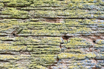 Background stone wall with green moss