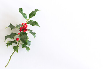 Symbol of Christmas in Europe. Closeup of holly beautiful red berries and sharp leaves isolated on a white background. Empty space for holiday text, top view.