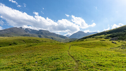panoramic view of the mountain plateau. beautiful green mountain hills and peaks
