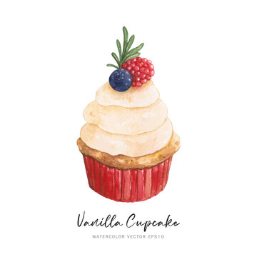 Cute cupcake dessert with berries, watercolor vector isolated on white background