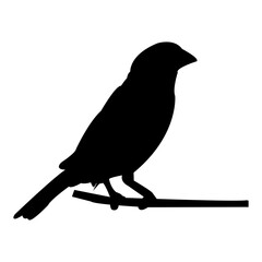 sparrow icon