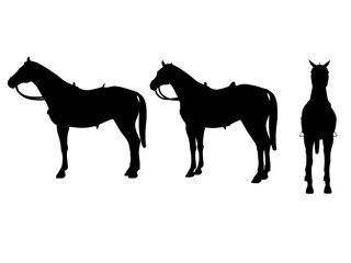 Horse silhouette, high-quality detailed horse