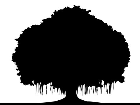 Banyan tree vector silhouette, Tree of life