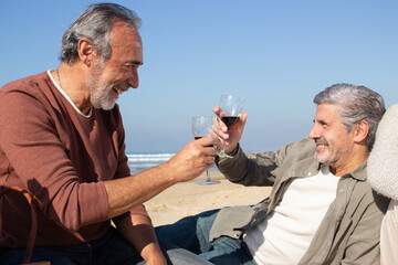 Two senior gray-haired bearded men clinking glasses of wine while enjoying picnicking together on sunny day at beach. Old male friends recalling good times and laughing. Friendship, retirement concept
