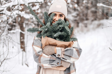 Fototapeta premium A stylish girl in a snowy forest hides behind the branches of a nobilis fir