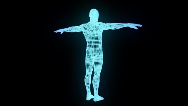 Man body wireframe. Computer generated 3d render