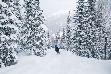 Skier moving in snow powder in forest on steep slope of  ski resort. Freeride, winter sports outdoor