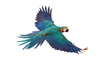 Colorful flying parrot isolated on white. Vector Illustration.