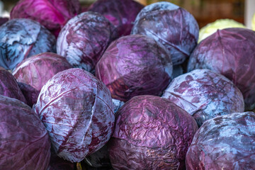 Fototapeta na wymiar Fresh red cabbage in the market. Food background.