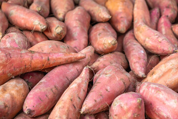 Fresh sweet potato Batata in the market. Food background.