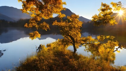	美しい秋の朝日