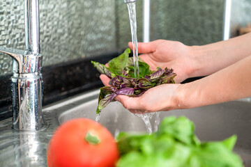 Woman washes fresh vegetables over sink, close-up, without a face