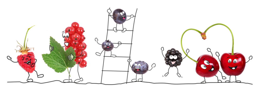 Organic fruits as comic figures 4, transparent background