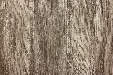 Obraz premium Grey wood background texture, natural solid wood pattern.
