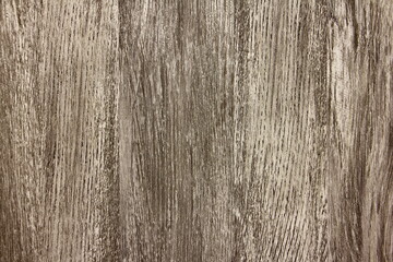 Grey wood background texture, natural solid wood pattern.