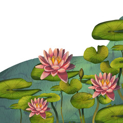 A banner with a pink water flower. Watercolor illustration with a lotus and round leaves in water. Japanese lotus flower. The illustration is suitable for the design of postcards, pack, invitations.