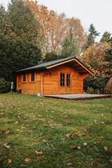 Beautiful forest hut for holidays in the forest. Garden shed with yellow leaves and trees in late autumn. Autumn mood in the country. 