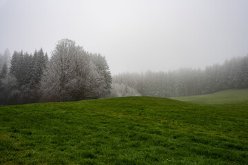 Obraz na płótnie Canvas Landschaft, Natur, Bäume, Wiese, Winter, Schnee, Nebel