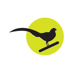 golden chinese pheasant icom