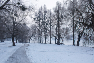 Obraz premium A snowy road along the river