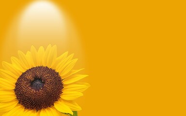 illuminated sunflower with yellow background