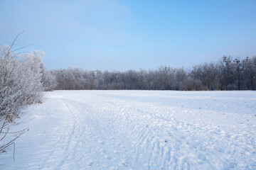 A large spacious lawn covered with snow in a winter park