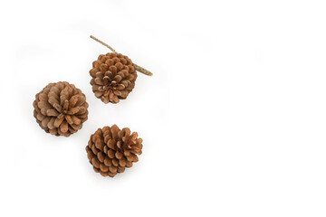 Piñas sobre un fondo blanco liso y aislado. Vista superior y de cerca. Copy space. Concepto: Invierno, Navidad, decoración
