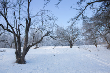 Fototapeta na wymiar Geoplastics in the winter garden, trees and hills