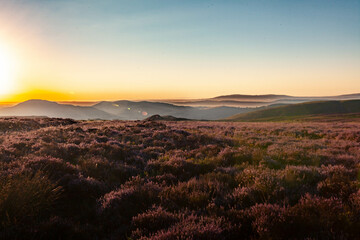 Obraz premium Longmynd at Sunrise 