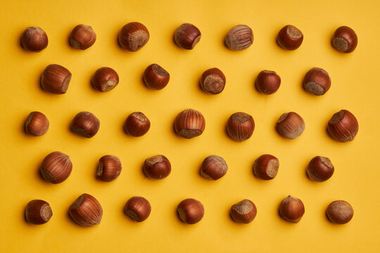 Rows of fresh unpeeled hazelnuts