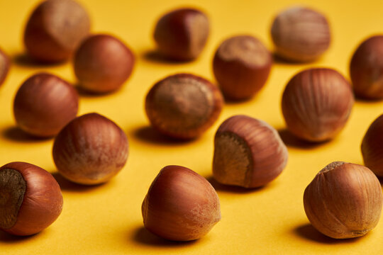 Rows of fresh unpeeled hazelnuts