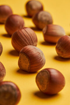 Rows of fresh unpeeled hazelnuts