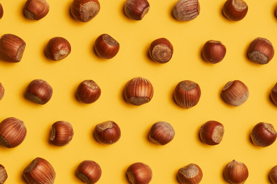 Rows of fresh unpeeled hazelnuts