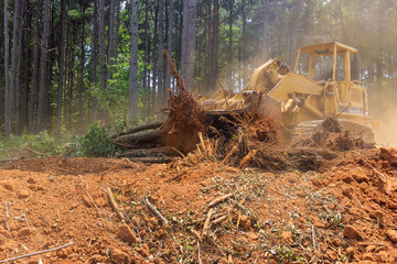 Working with tractor during deforestation landscaping for preparation construction site with...