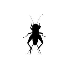 Cricket insect icon. Simple style insect science poster background symbol. Cricket insect brand logo design element. Cricket insect t-shirt printing. vector for sticker.