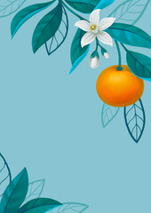 Hand painted illustration of orange tree branch. Perfect for posters, invitations, greeting cards, packaging design, stationery and other goods - 551580336