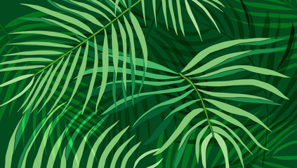 Naklejka na ściany i meble Green tropical leaves vector background card